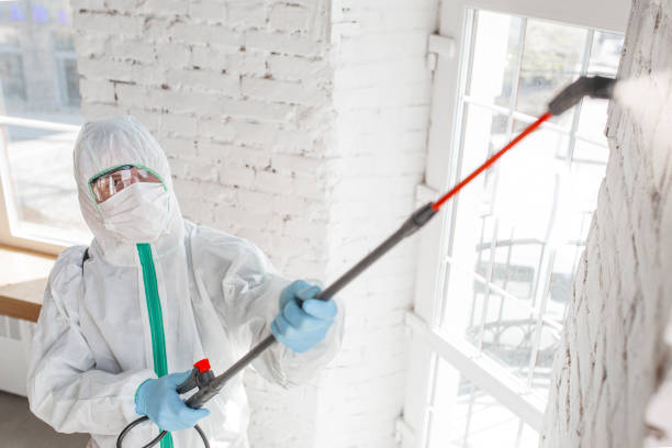 Best Commercial Mold Inspection  in Greenfield, IL